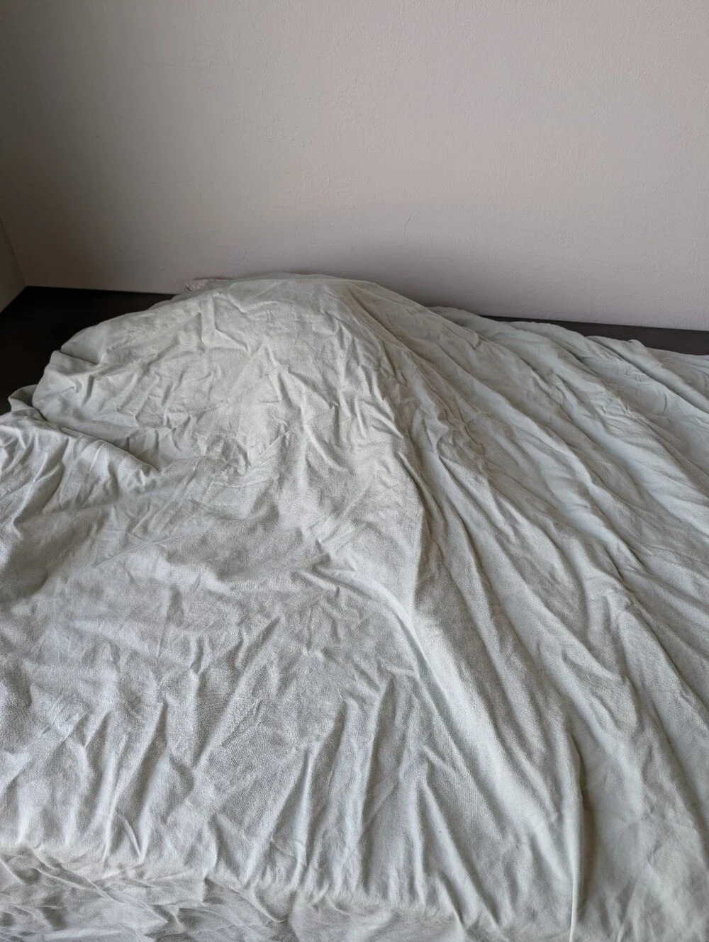 IKEA Nasselklocka Botanic Light Green Duvet Cover Full/Queen Size Cotton Rayon
